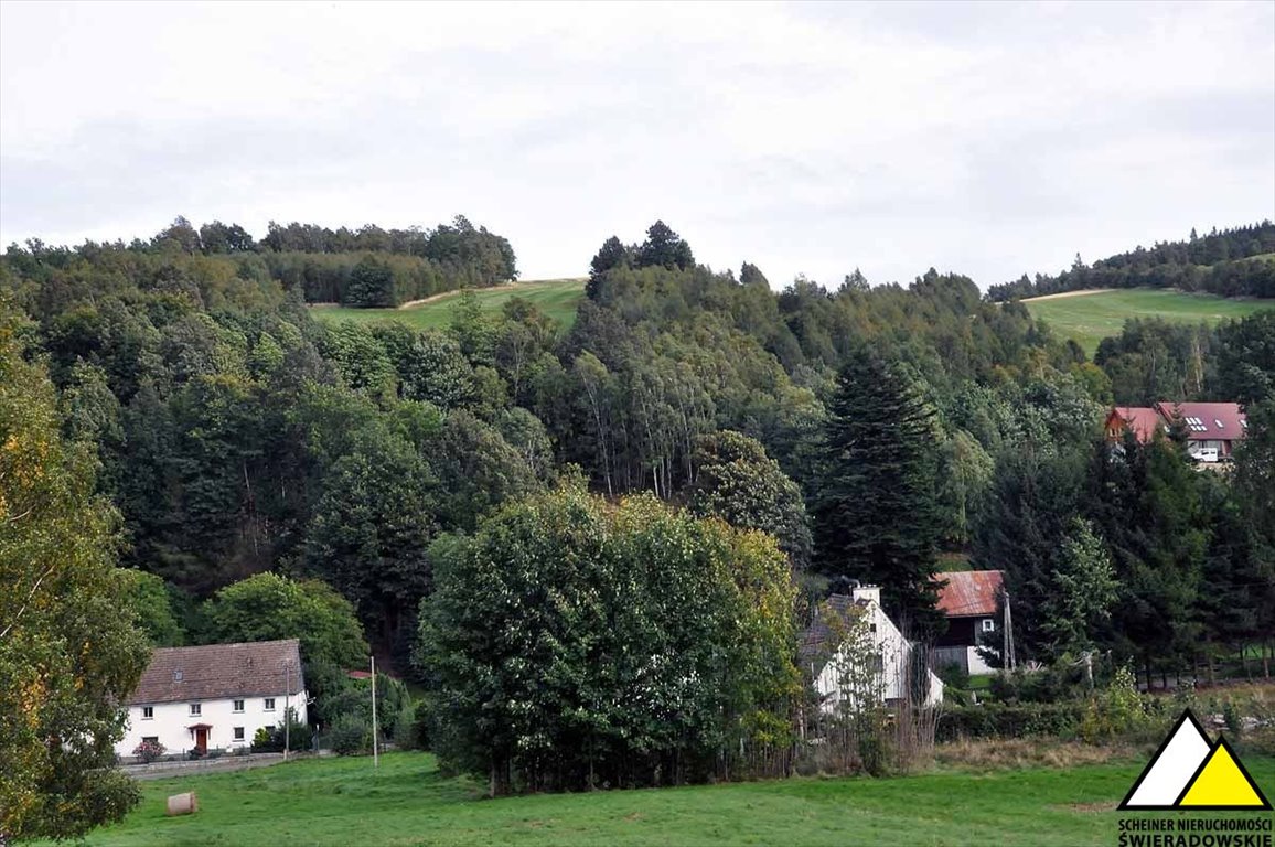 Działka budowlana na sprzedaż Gierczyn  2 500m2 Foto 7