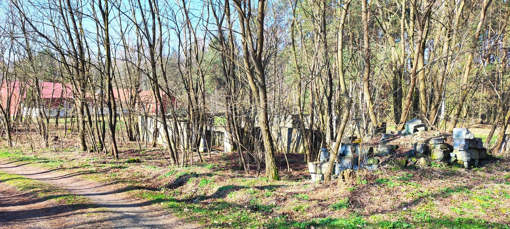 Działka budowlana na sprzedaż Staszów  930m2 Foto 2