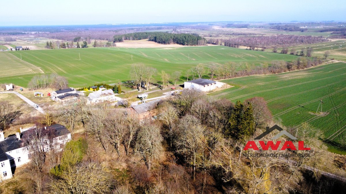 Działka gospodarstwo rolne na sprzedaż Sulicice  3 000m2 Foto 7