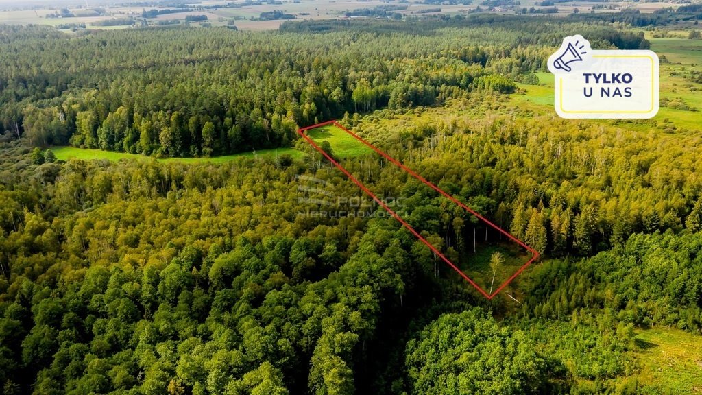 Działka rolna na sprzedaż Dobrzyniówka  15 400m2 Foto 1