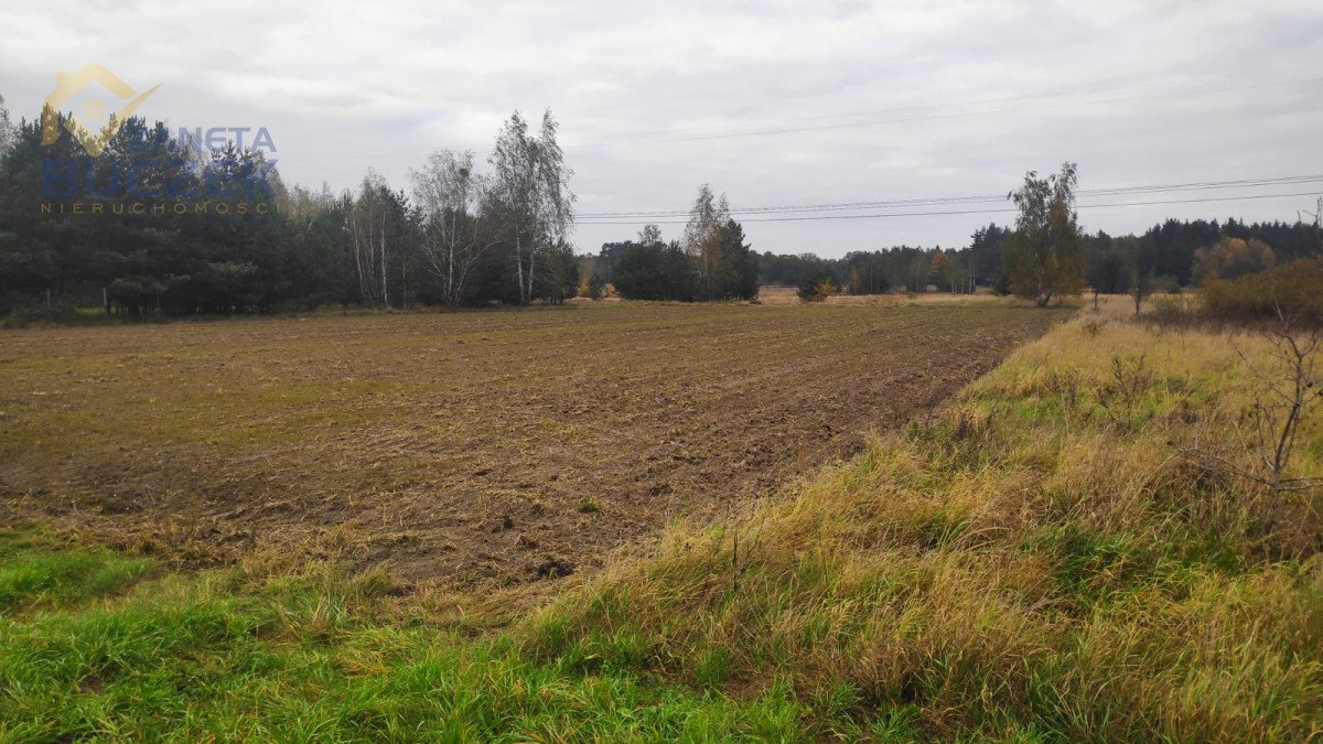 Działka 2985 m² pod dom i usługi w Kampinosie Budki Żelazowskie  2 985m2 Foto 1