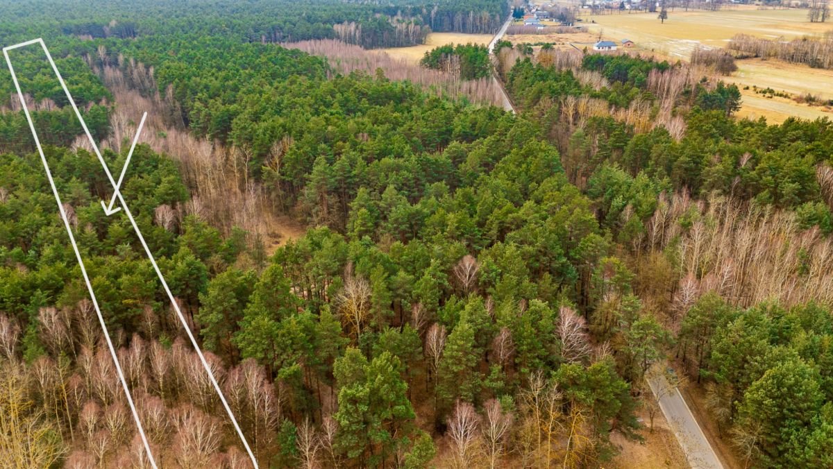 Zalesione działki rolne w Szczercowie 10 131 m² polecam Szczerców, Leśna  10 131m2 Foto 1