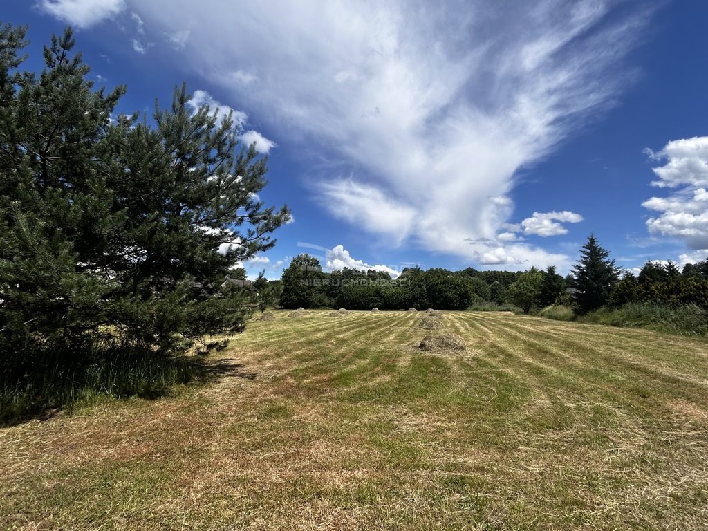 Działka budowlana na sprzedaż Skrzyszów  836m2 Foto 5