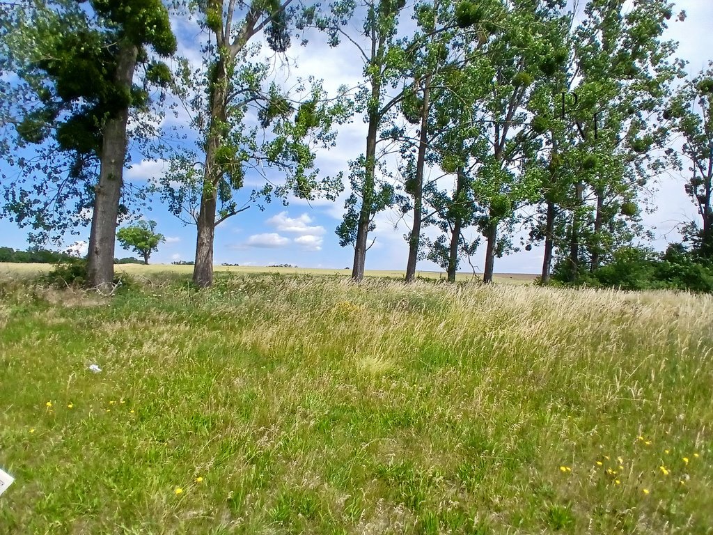 Działka budowlana na sprzedaż Baszyn  2 700m2 Foto 3