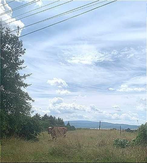 Działka inna na sprzedaż Dzierżoniów  2 500m2 Foto 2