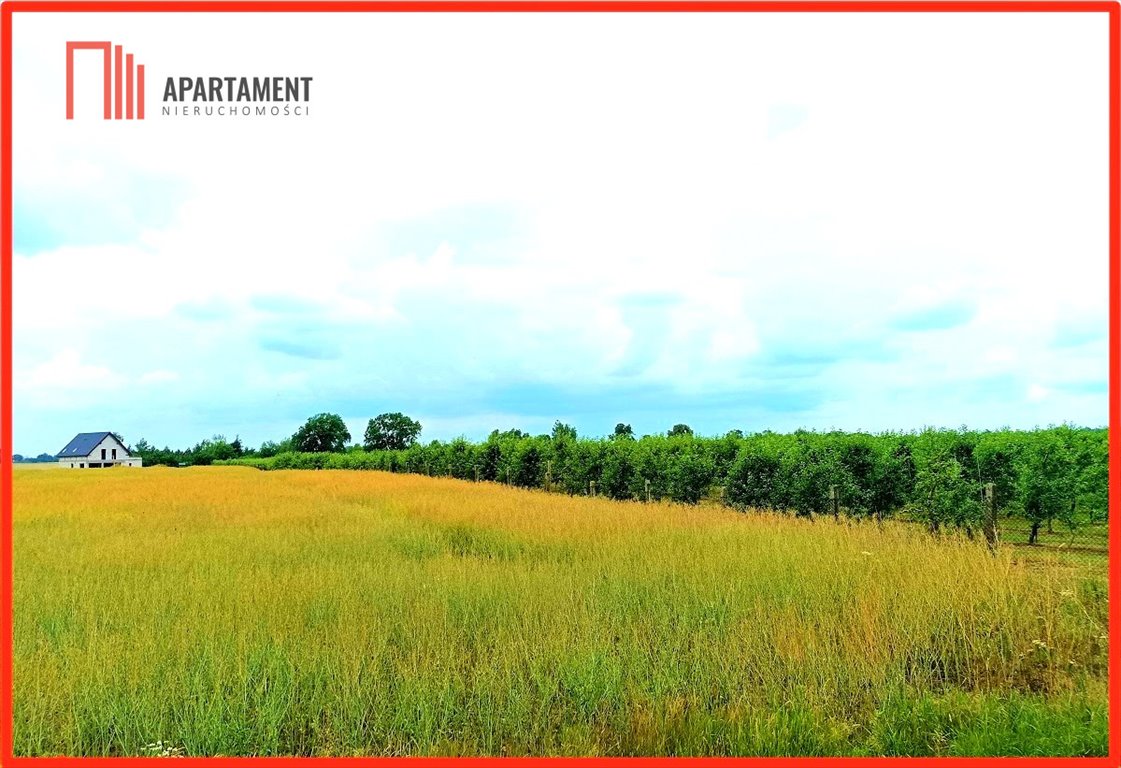 Działka pod zabudowę 1552 m2 z mediami, las, asfalt Szczutki  1 320m2 Foto 1