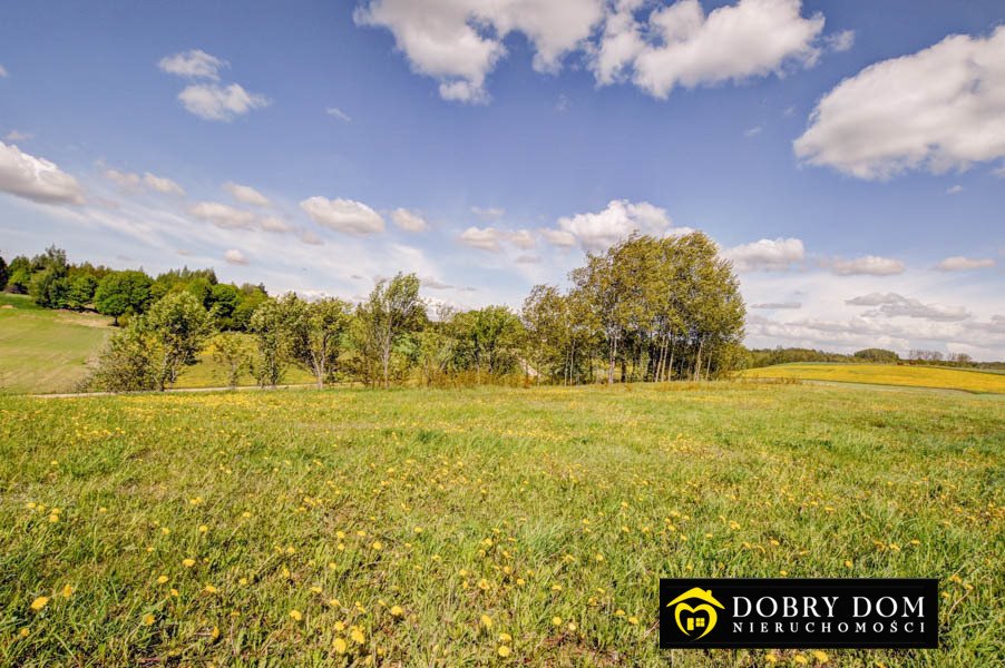 Działka rolna na sprzedaż Przełomka  2 200m2 Foto 15