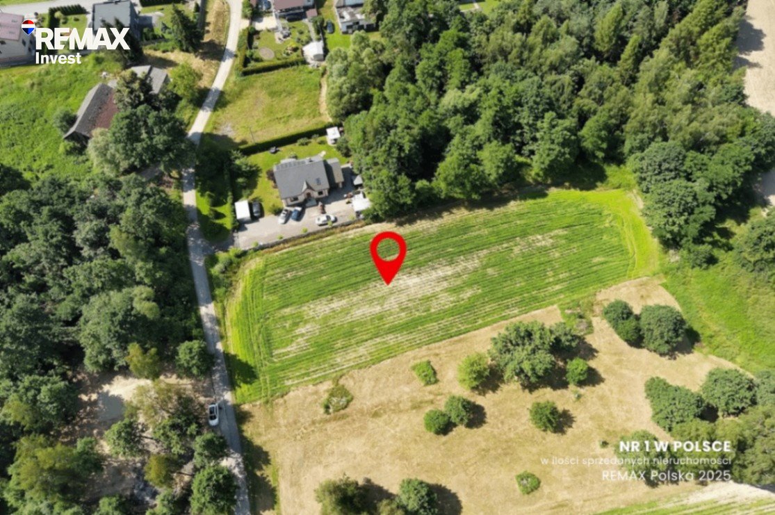 Do sprzedania działka 3556 m² z dużym ogrodem i potencjałem Dankowice, Wiślana  3 560m2 Foto 1