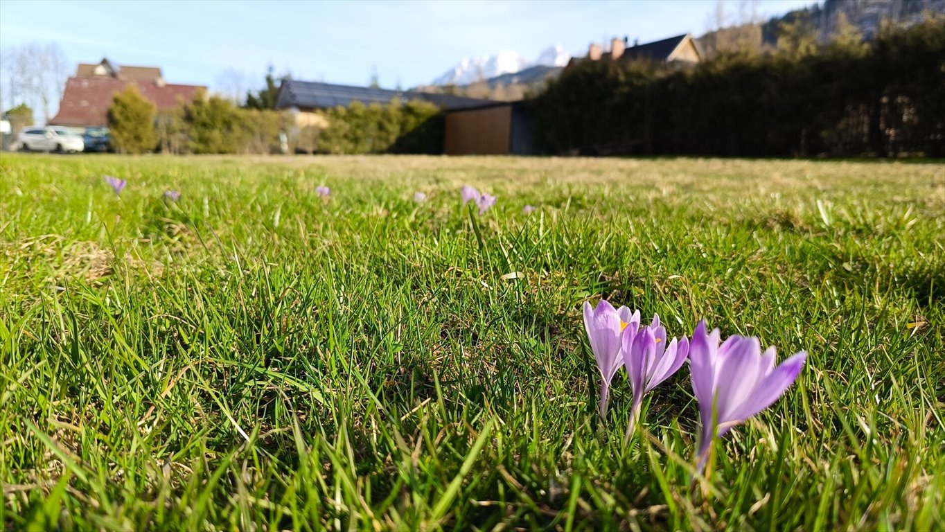 Działka budowlana na sprzedaż Kościelisko, Kościelisko  745m2 Foto 2