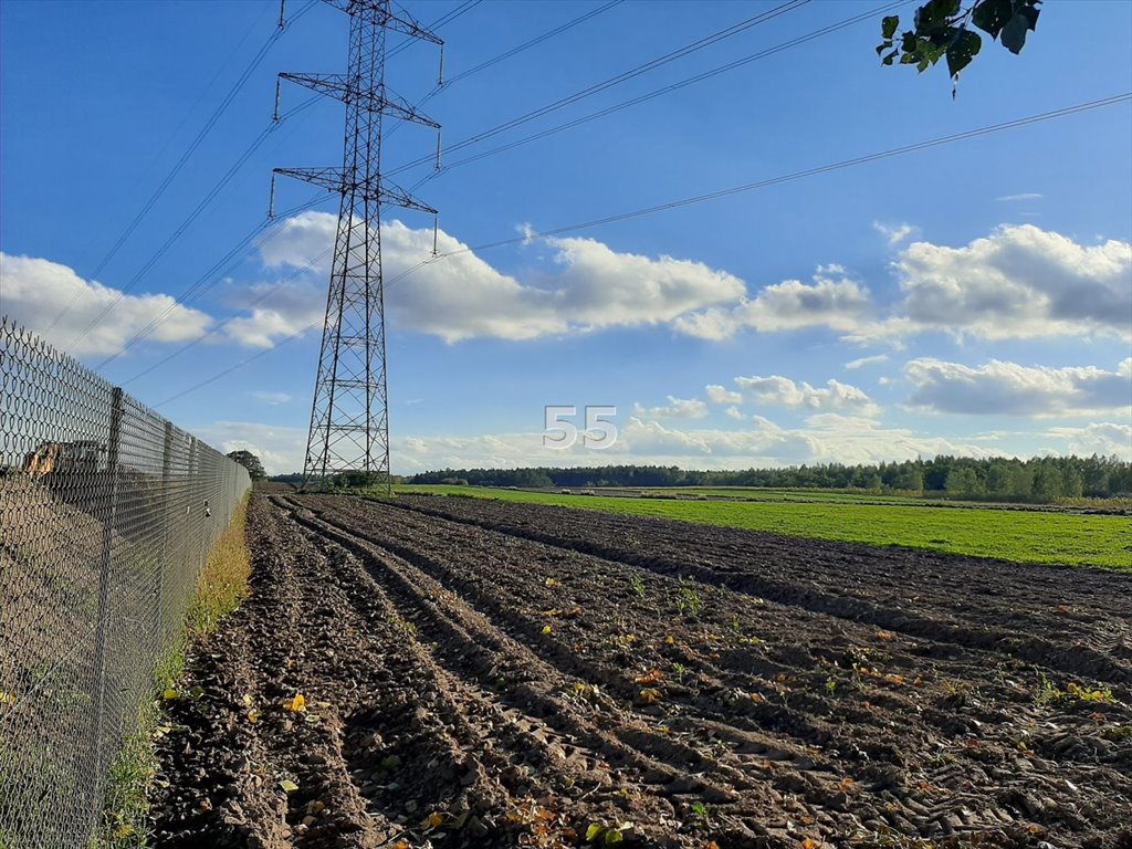 Działka przemysłowo-handlowa na sprzedaż Kruszów  8 100m2 Foto 2