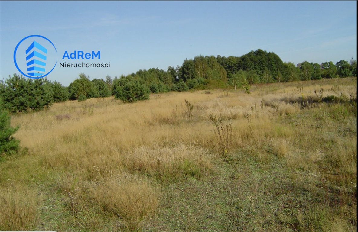 Działka rolna na sprzedaż Opacz  3 000m2 Foto 3