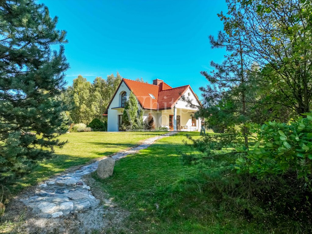 Działka siedliskowa na sprzedaż Przodkowo  11 896m2 Foto 6