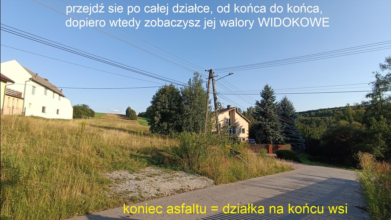 Działka siedliskowa na sprzedaż Czerwona Górka  27 100m2 Foto 4