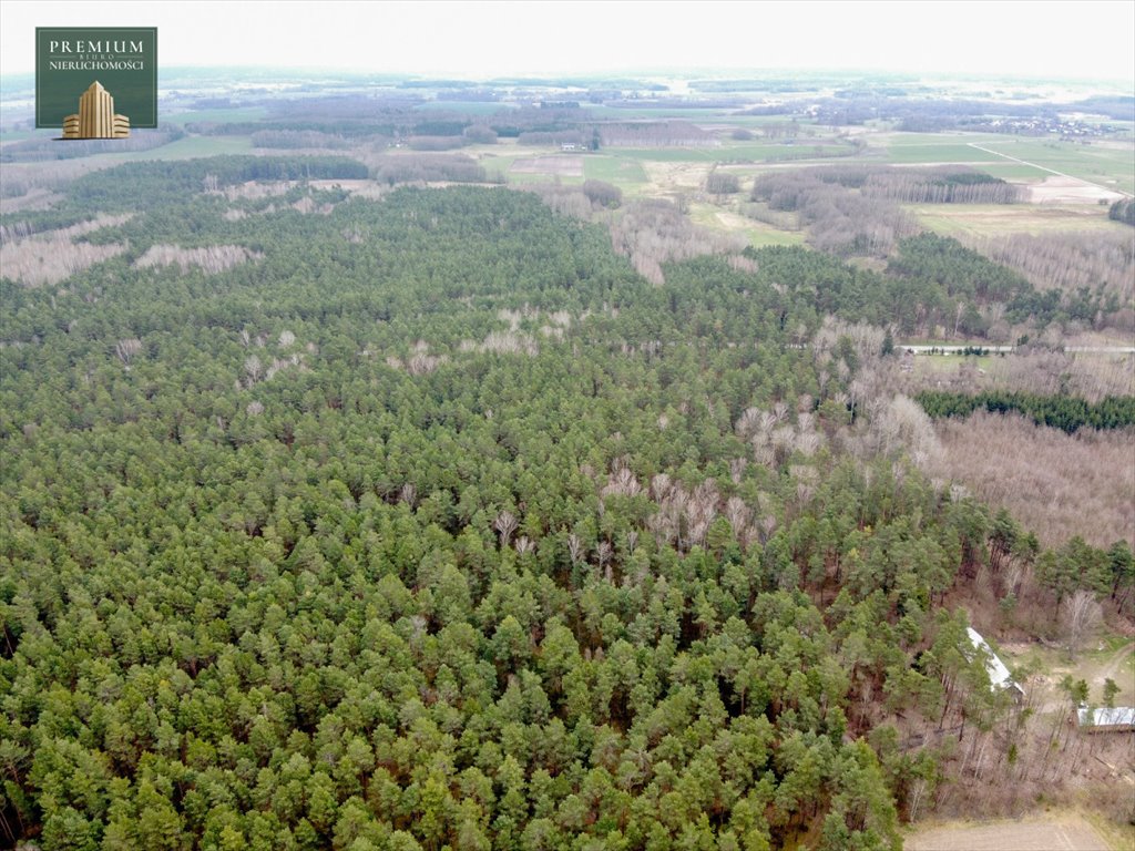 Działka siedliskowa na sprzedaż Koźliki  3 000m2 Foto 3