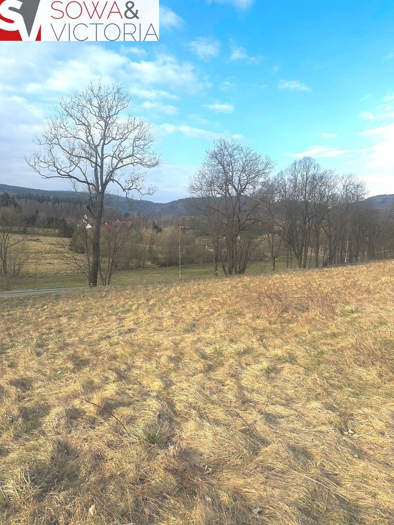 Działka budowlana na sprzedaż Leszczyniec  1 500m2 Foto 5