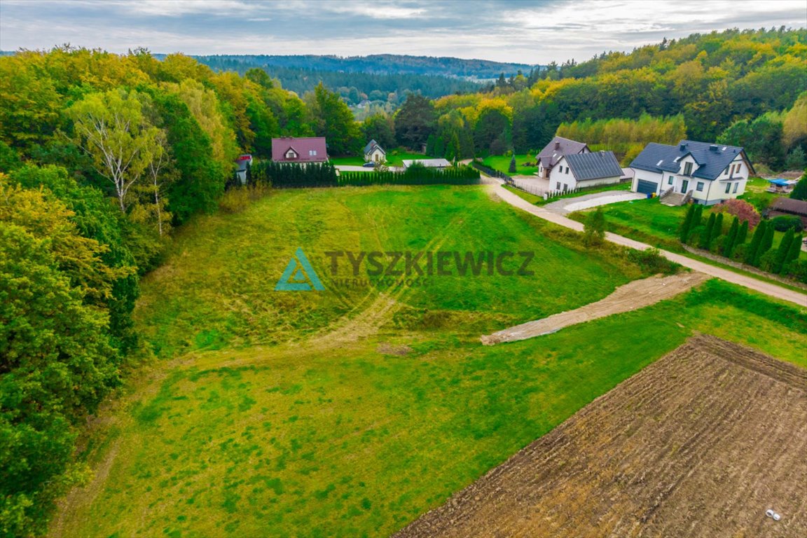 Działka rolna na sprzedaż Stara Huta  3 500m2 Foto 9