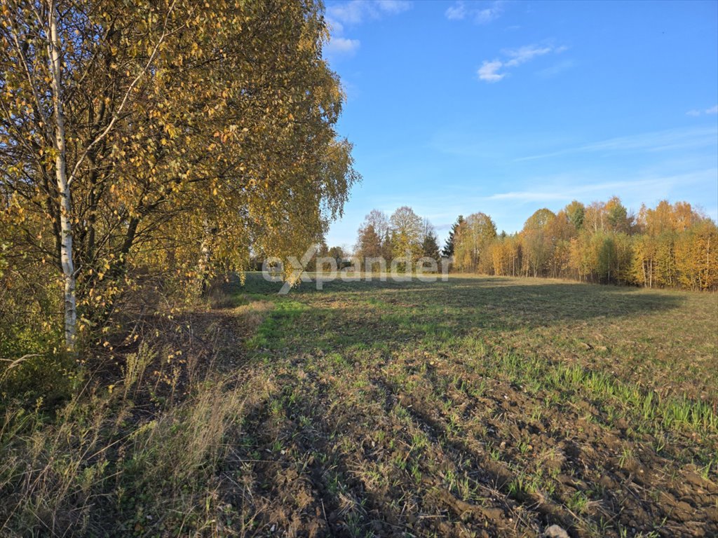 Działka budowlana 6000 m² z dostępem do drogi i uzbrojeniem Częstochowa, Ugody  6 000m2 Foto 1