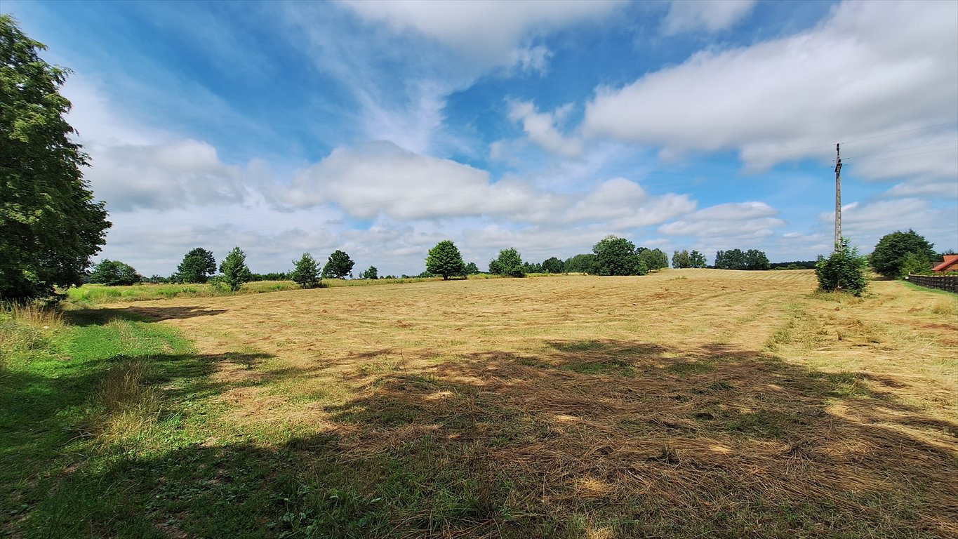 Działka rolna na sprzedaż Wólka  3 002m2 Foto 1