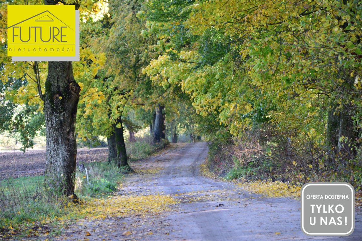 Działka leśna na sprzedaż Borzynowo  21 600m2 Foto 1