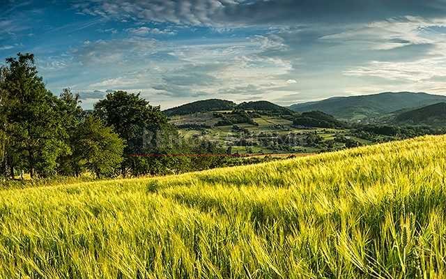 Działka budowlana na sprzedaż Mucharz  3 035m2 Foto 11