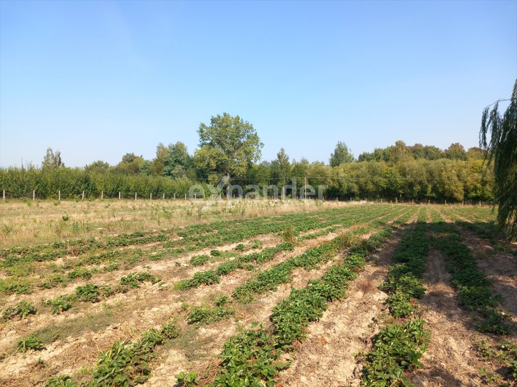 Działka budowlana na sprzedaż Chrzczonowice  56 200m2 Foto 8