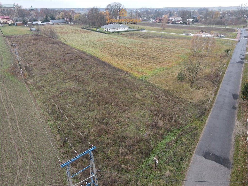 Działka inna na sprzedaż Poświętne, Poświętne, Poświętne  5 214m2 Foto 4