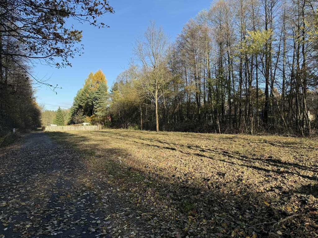 Działka budowlana na sprzedaż Zofiówka, Przylesie  889m2 Foto 1