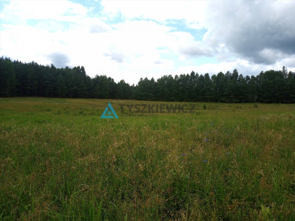 Działka rolna na sprzedaż Borzechowo, Kociewska  3 296m2 Foto 6