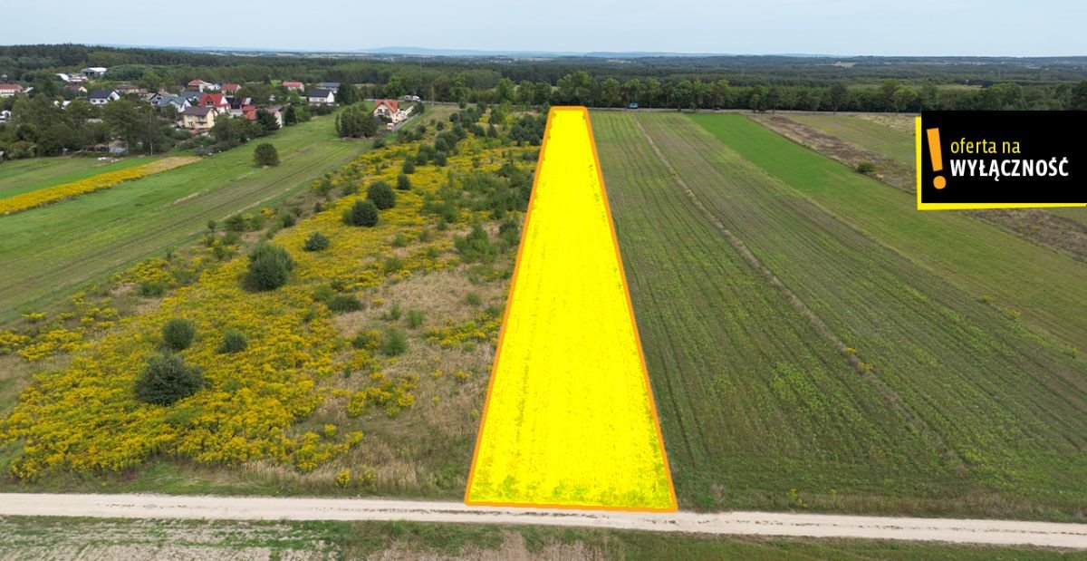 Działka rolna na sprzedaż Celiny  13 633m2 Foto 2