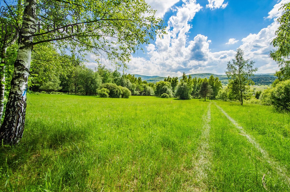 Działka budowlana na sprzedaż Wysowa-Zdrój  1 096m2 Foto 8