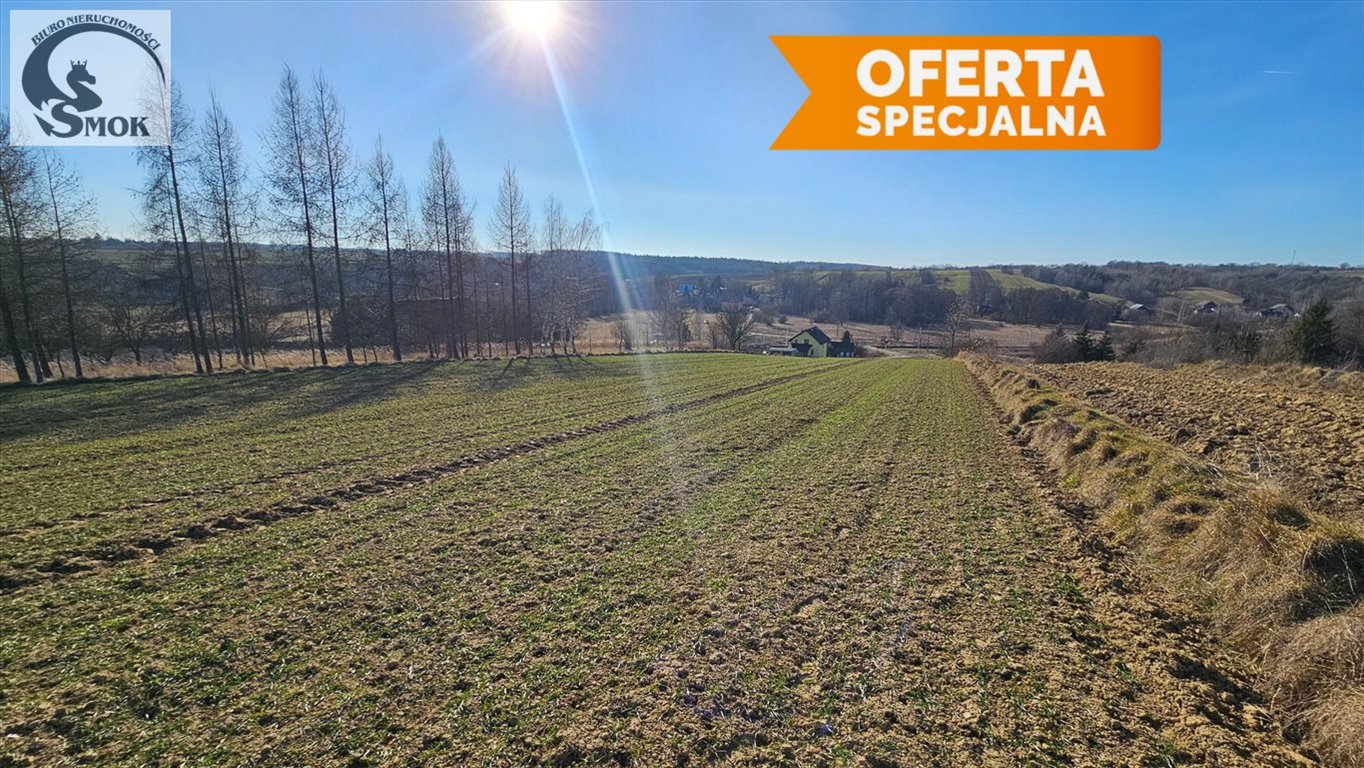 Widokowa działka 1,4 ha z wodą i dojazdem utwardzonym Przesławice  14 000m2 Foto 1