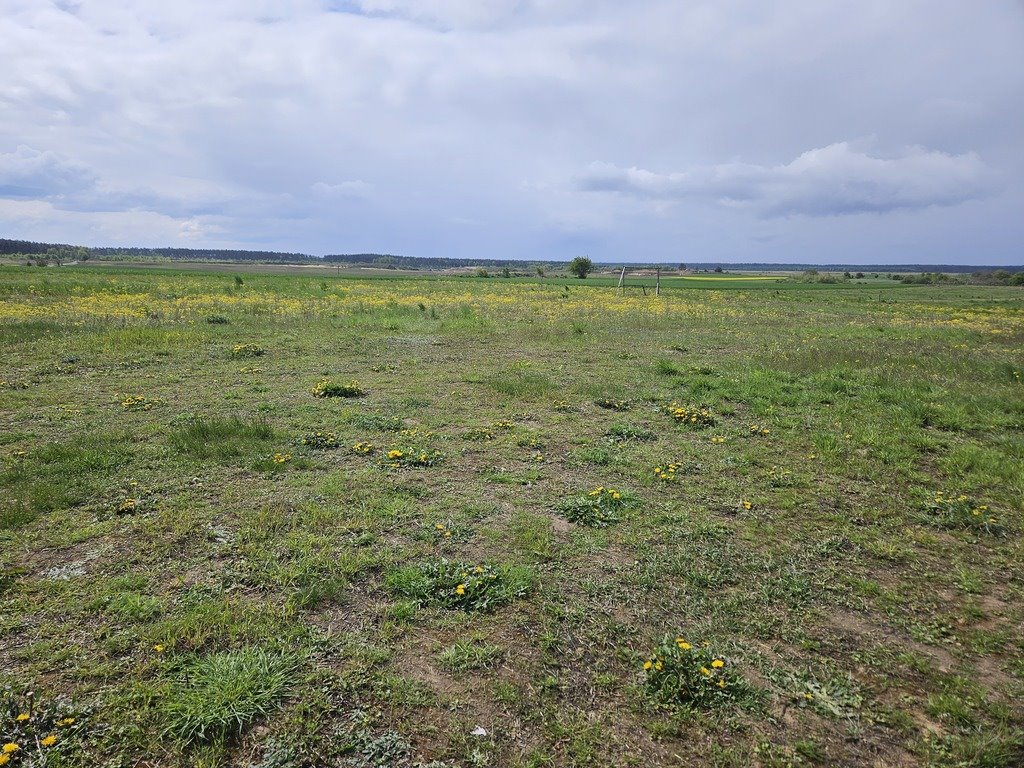 Działka budowlana na sprzedaż Moryń  1 000m2 Foto 17