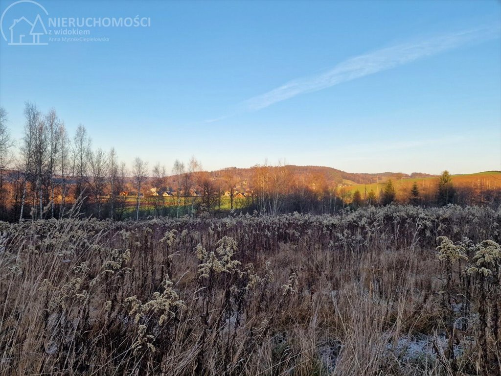 Działka budowlana na sprzedaż Gromnik  1 282m2 Foto 2