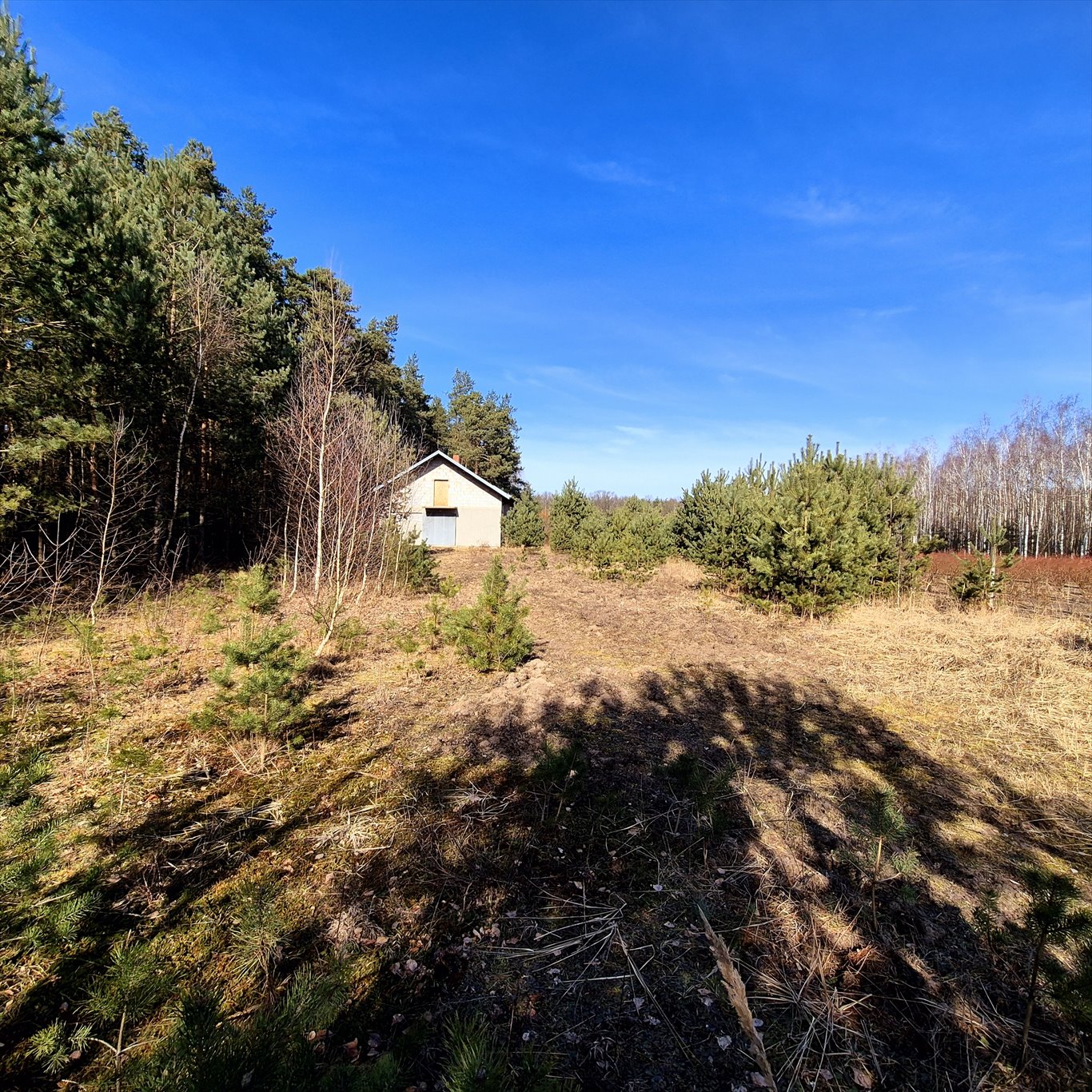Magazyn na sprzedaż Strobów  200m2 Foto 1