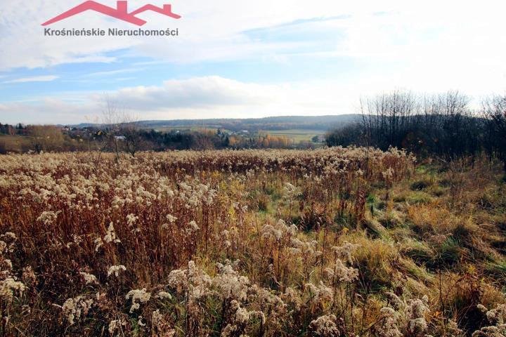 Działka rolna na sprzedaż Kopytowa  1 500m2 Foto 2