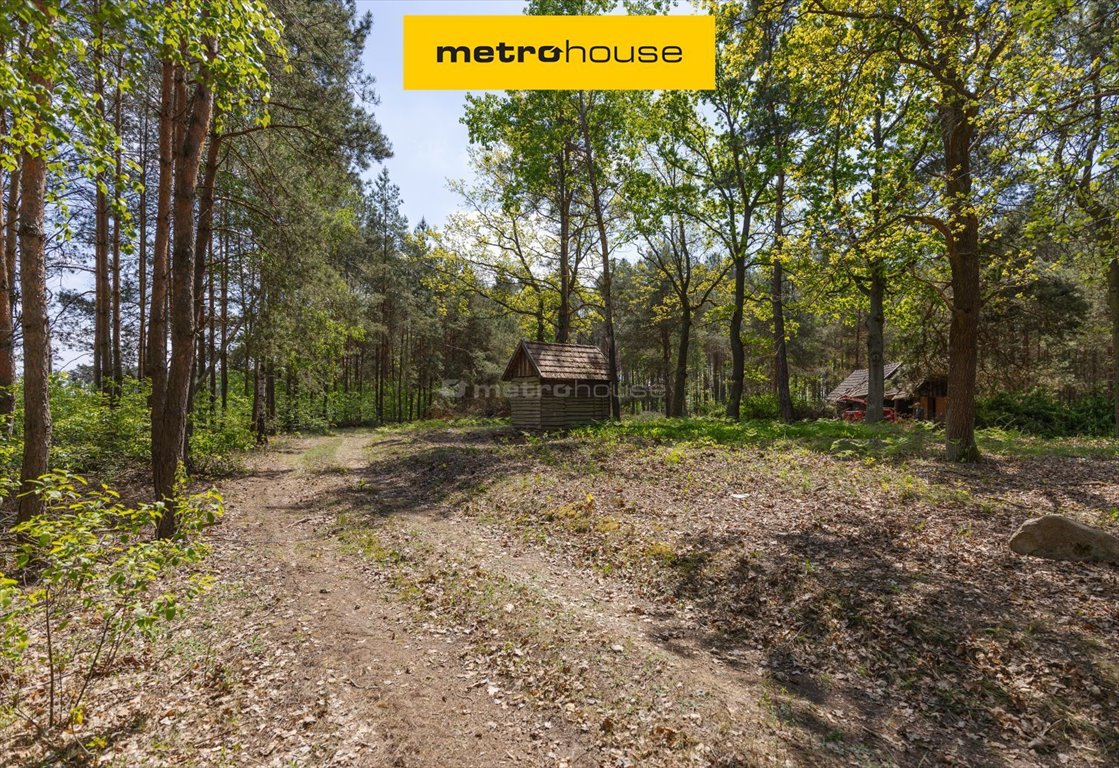 Do sprzedania działka 4899 m² z lasem i domem w Cieńszej Cieńsza  4 899m2 Foto 1