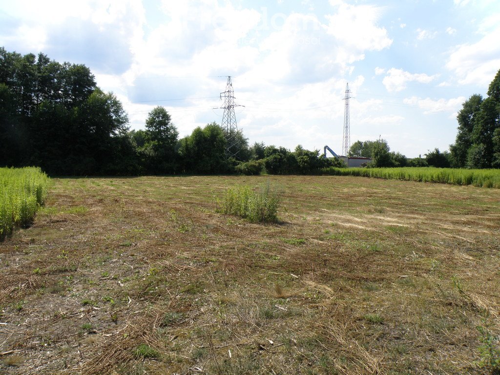 Działka budowlana na sprzedaż Czarne Błoto  1 769m2 Foto 5