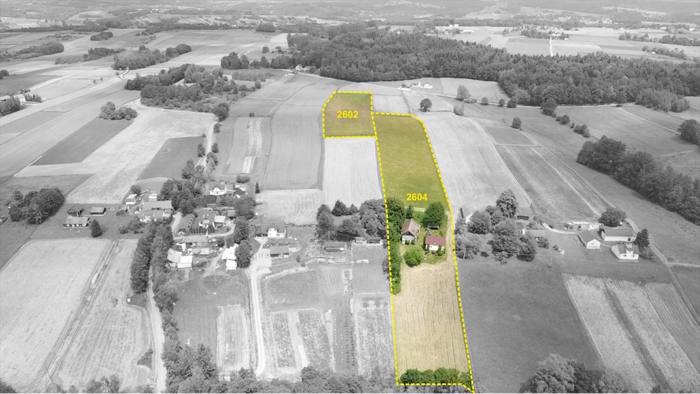 Urokliwy dom 100 m2 na 2 ha z rzeką, potencjał! Szerzyny  100m2 Foto 1