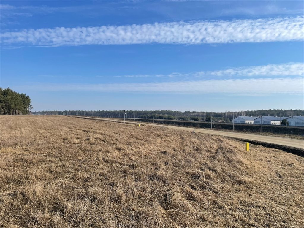 Działka inna na sprzedaż Ignacewo  19 056m2 Foto 1