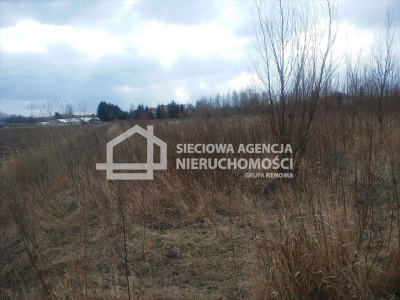 Zapraszam do zakupu działki rolnej 3001 m² w malowniczej okolicy Gdańska Gdańsk, Olszynka  3 001m2 Foto 1