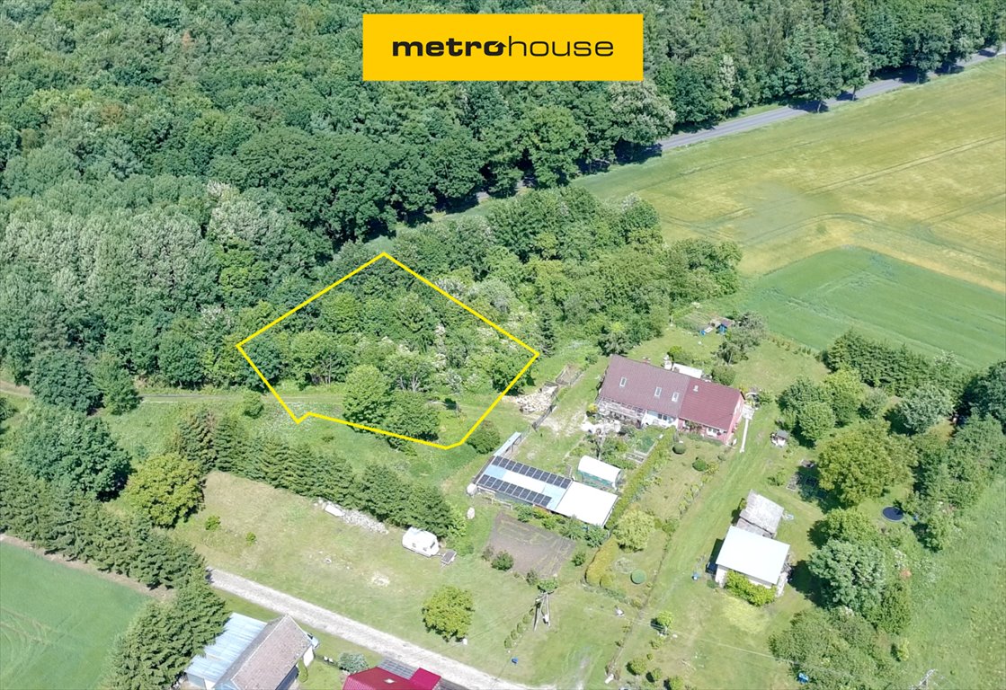 Działka 1439 m² pod dom, jezioro, inwestycję w Pniewie Pniewo  1 430m2 Foto 1