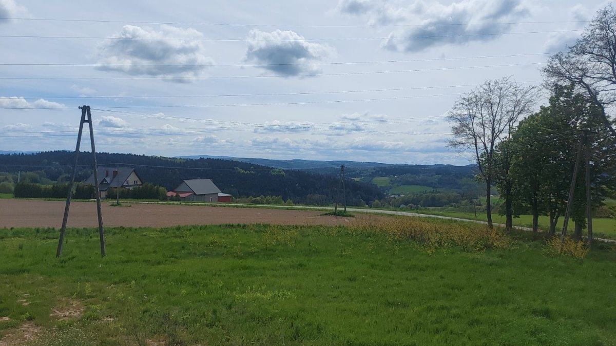 Działka budowlana na sprzedaż Ciężkowice, Ciężkowice, Kąśna Górna  1 000m2 Foto 10