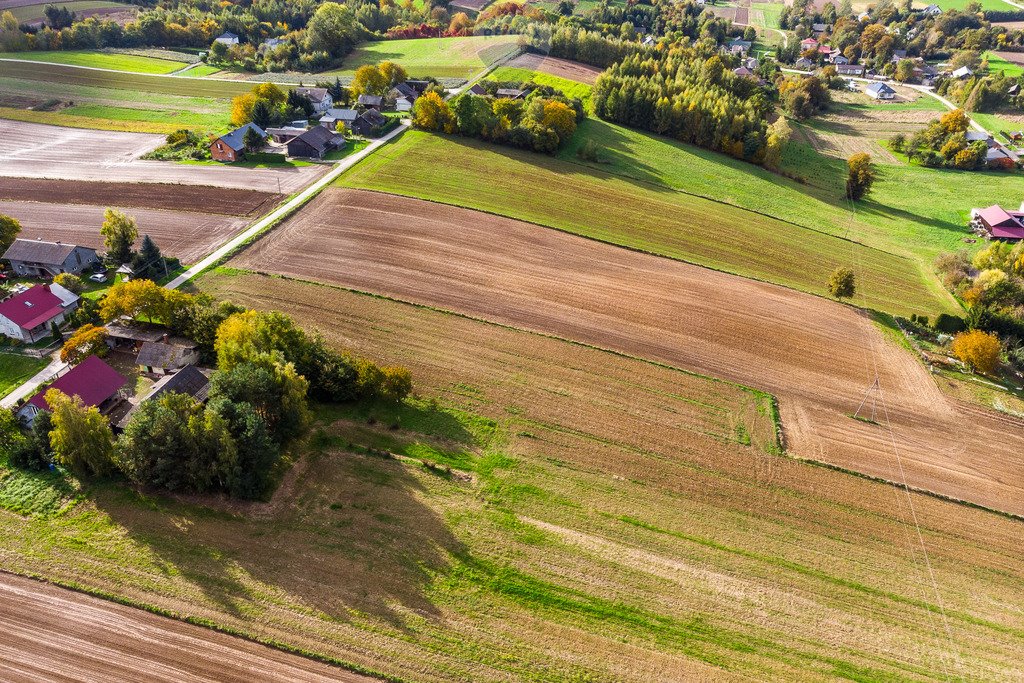 Działka budowlana na sprzedaż Krępa  2 600m2 Foto 5