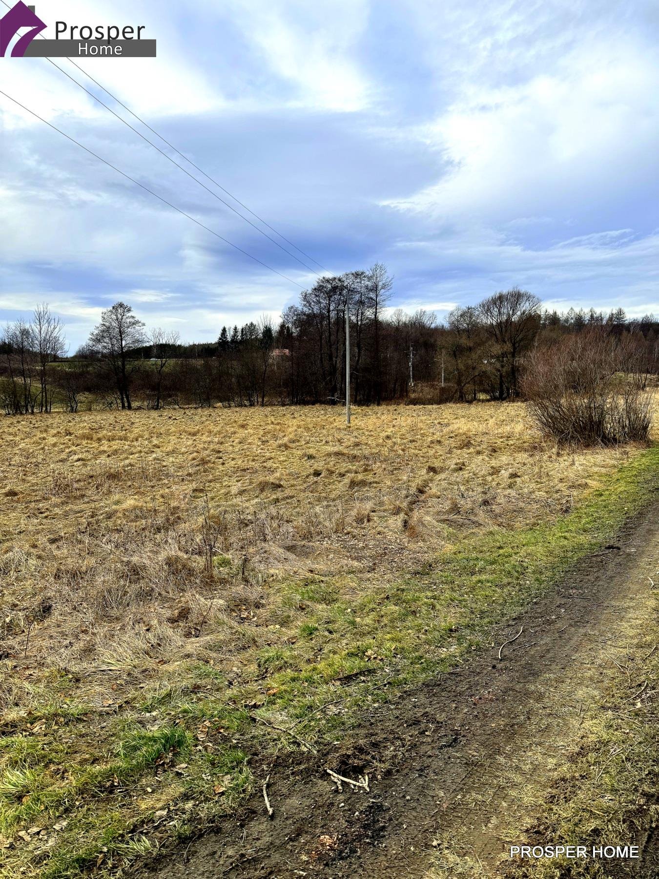 Działka inna na sprzedaż Hadle Kańczuckie  5 100m2 Foto 3