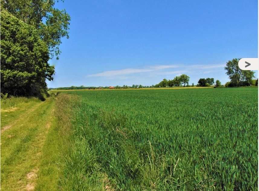 Działka budowlana na sprzedaż Mielęcin, Mielęcin  1 358m2 Foto 5