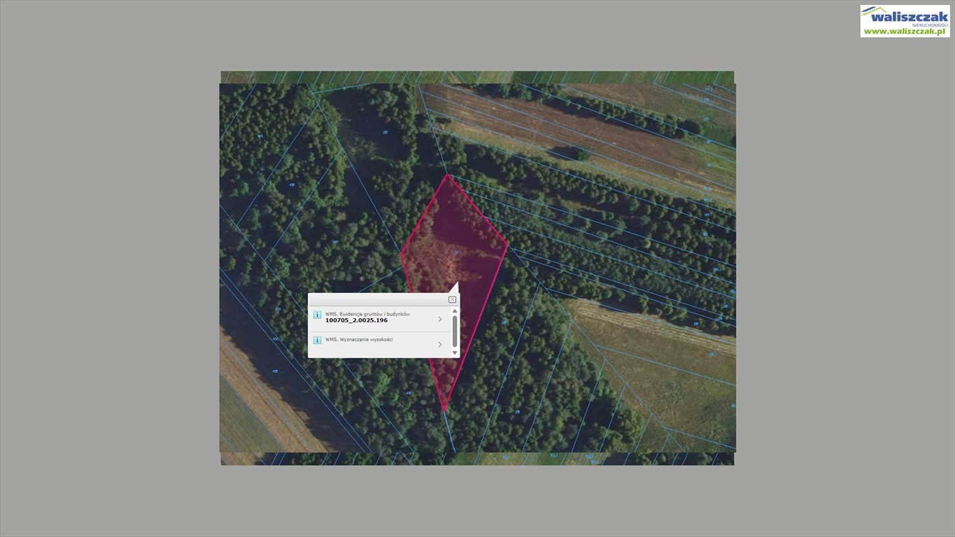 Działka rolna 3200 m² w Wójcinie – atrakcyjna cena! Wójcin  3 200m2 Foto 1