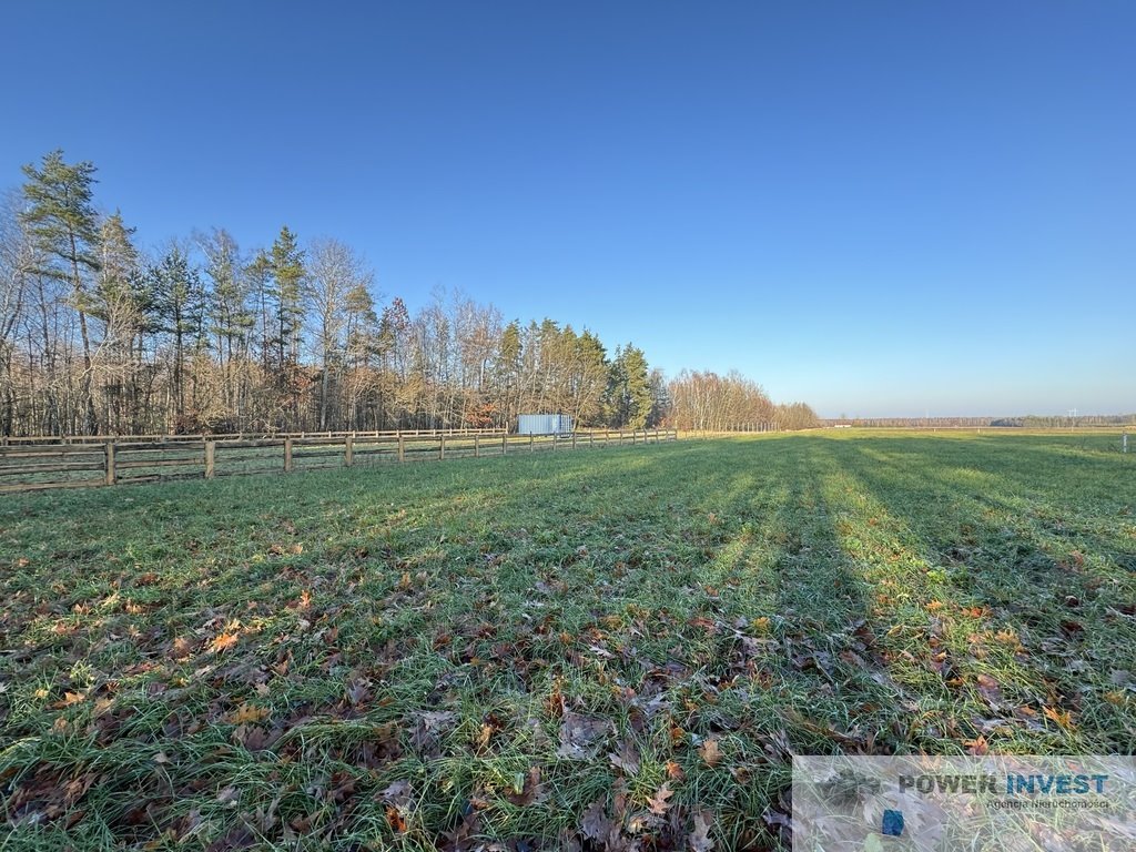 Działka budowlana na sprzedaż Powązki  9 700m2 Foto 12