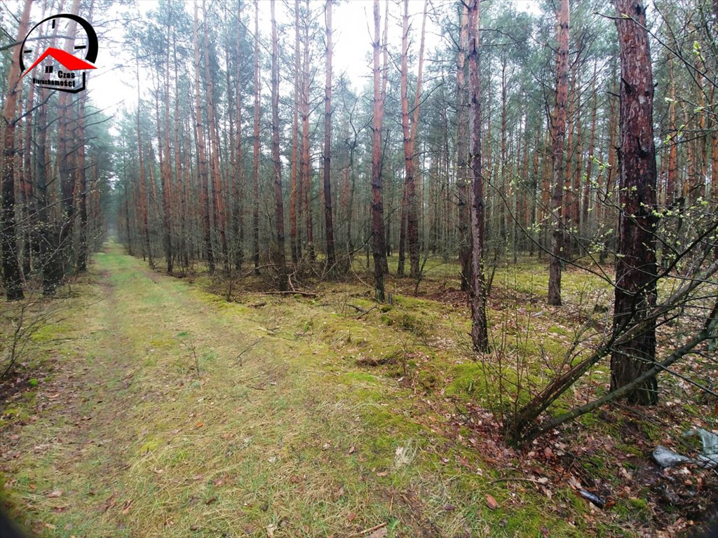 Działka gospodarstwo rolne na sprzedaż Smólniki Osieckie  10 000m2 Foto 3