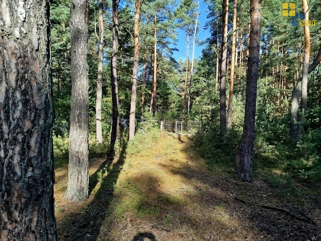 Działka budowlana na sprzedaż Rudnik Wielki  1 328m2 Foto 4