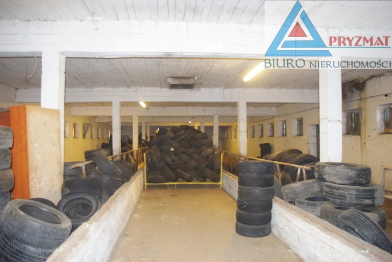 Lokal użytkowy na wynajem Dągi 800m2 Foto 1 Lokal użytkowy na wynajem Dągi 800m2 Foto 1